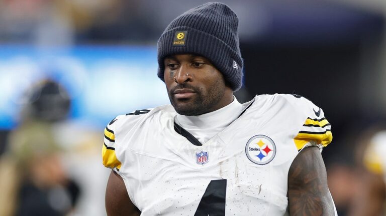 Steelers star receiver DK Metcalf takes swing at Lions fan during game in Detroit