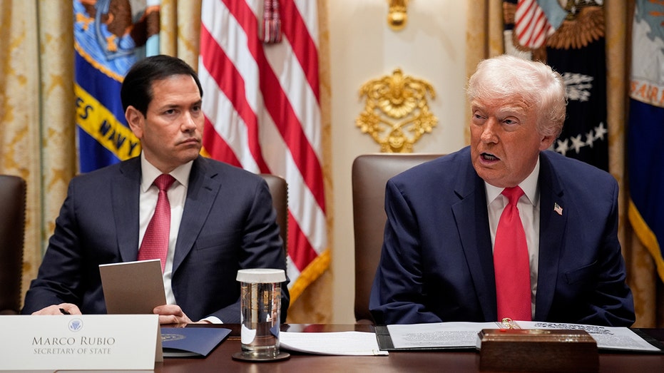 Trump admin recalling around 30 ambassadors as part of State Dept realignment, official confirms