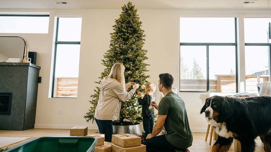 Strange celebrity 'naked Christmas tree' trend sparks pushback: 'Ornaments are a must'
