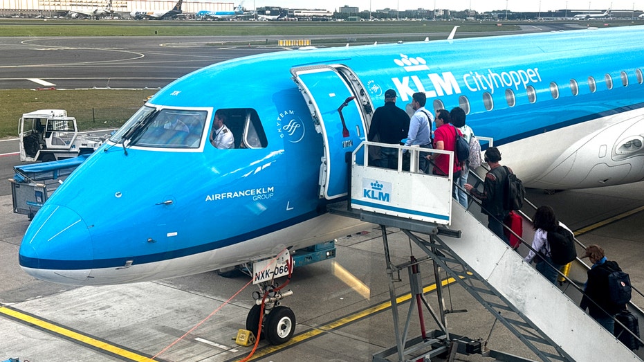 'Massive' rat spotted running through airplane forces cancellation of vacation flight