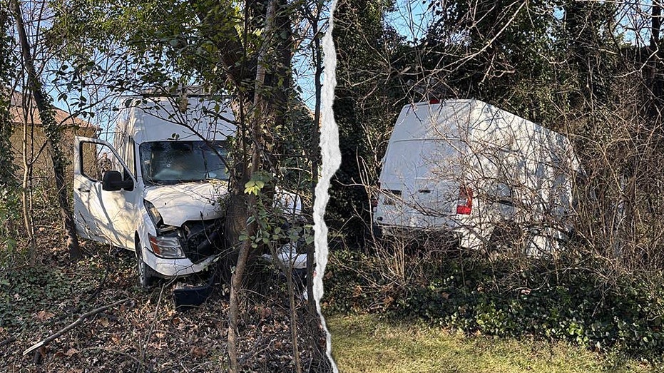 ICE agents open fire on van driver who allegedly tried to run them over on Christmas Eve