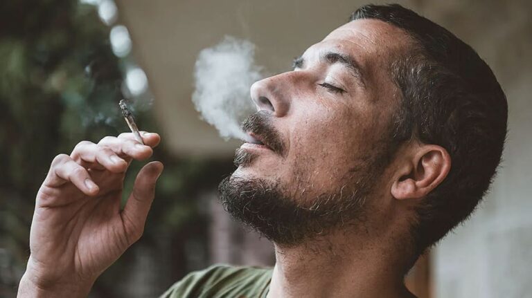 ALEX BERENSON: Trump's marijuana order pushes a dangerous lie about drugs