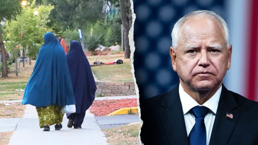 Taxpayer cash, zero accountability: Minnesota fraud proves welfare is broken