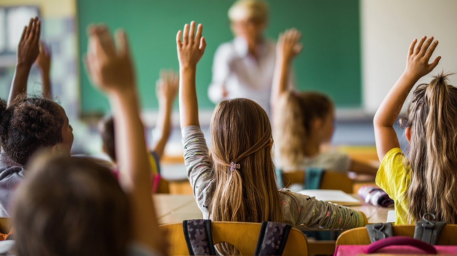 Professor slams 'sneaky approach' to oppression-based teaching of American history: 'fantastically false'