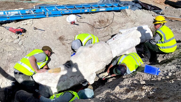 Dinosaur fossils unearthed during parking lot construction at national park