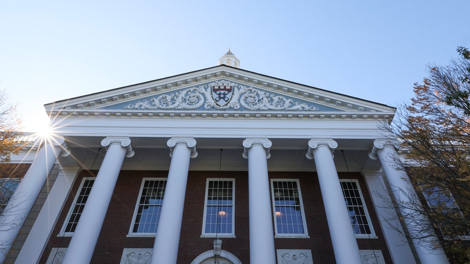 Harvard gets schooled by China as America's universities choose activism over excellence