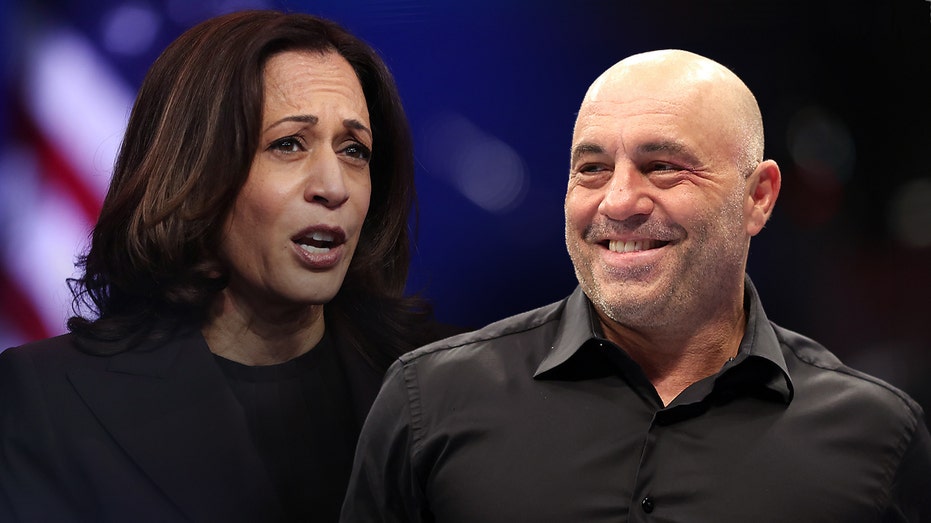 Joe Rogan insists Kamala Harris would've done 'fine' on his 3-hour-show: 'Could've talked for hours'