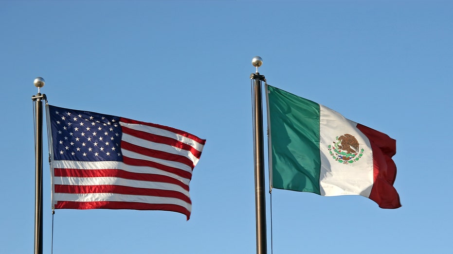Mexico using 'weaponized immigration' to undermine US sovereignty, author of new book alleges