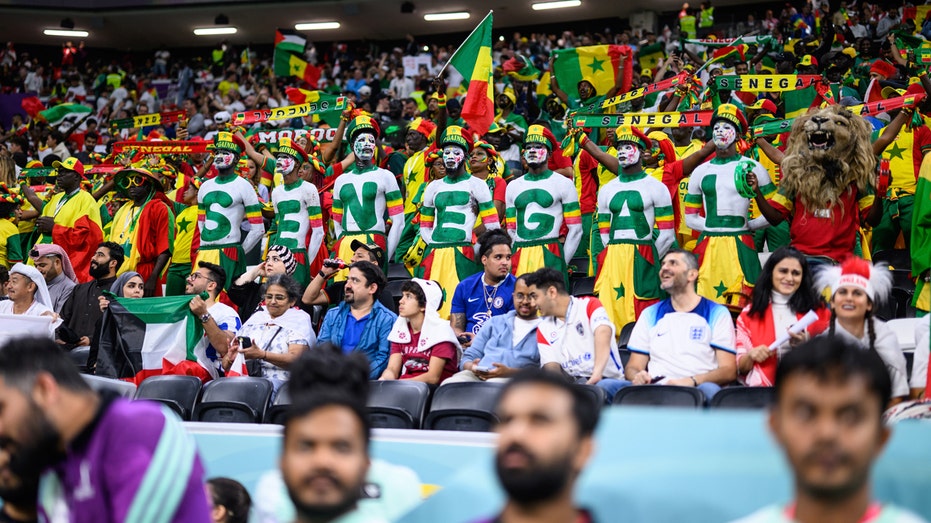 World Cup fans banned from US travel may be unable to root for teams in person