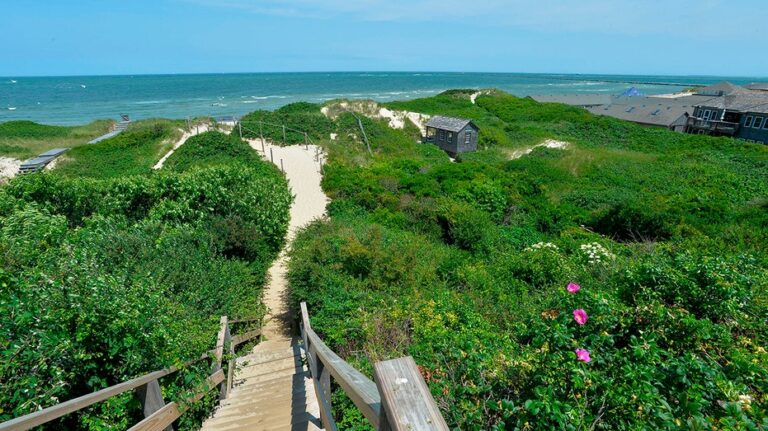Wealthy coastal enclave's dirty secret revealed through wastewater testing surveillance