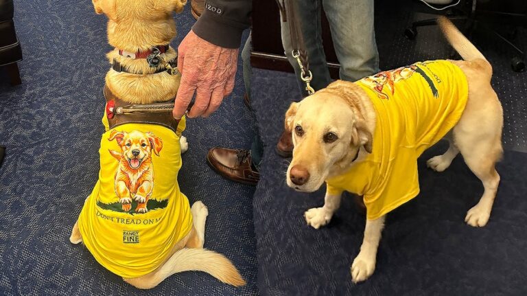 Rep Randy Fine to bring 4-legged guest Sadie to Trump's State of the Union amid backlash over X post
