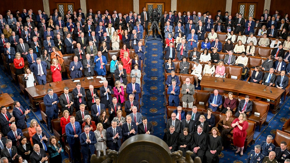 Thune calls out 'two Americas' as Democrats refuse to stand for war heroes, law enforcement at SOTU
