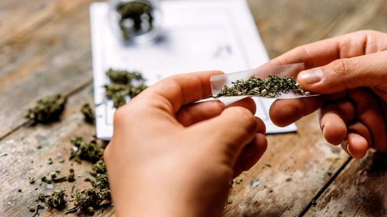 Cannabis compounds could reverse disease affecting one-third of adults
