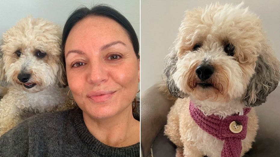 Woman’s cancer battle takes unbelievable turn when her dog gets same diagnosis