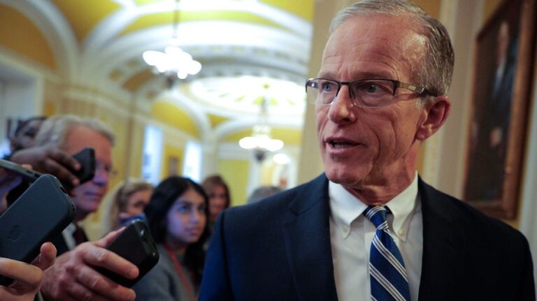 DAVID MARCUS: Sen Thune's duty is to voters, not his Senate colleagues