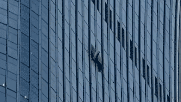 Pilot dead, 13 injured after small plane crashes into towering skyscraper