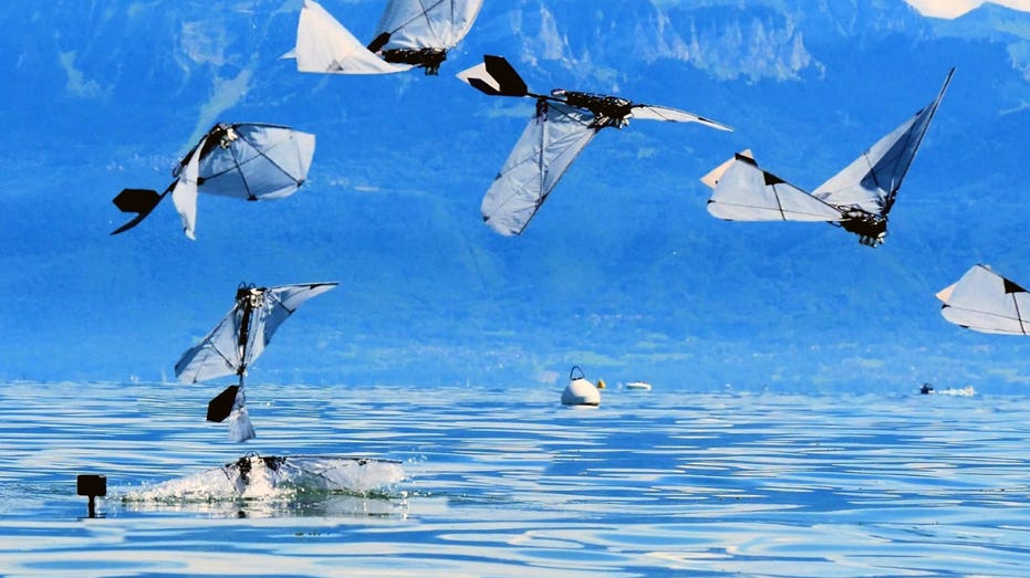 Robot bird swims underwater then flies away